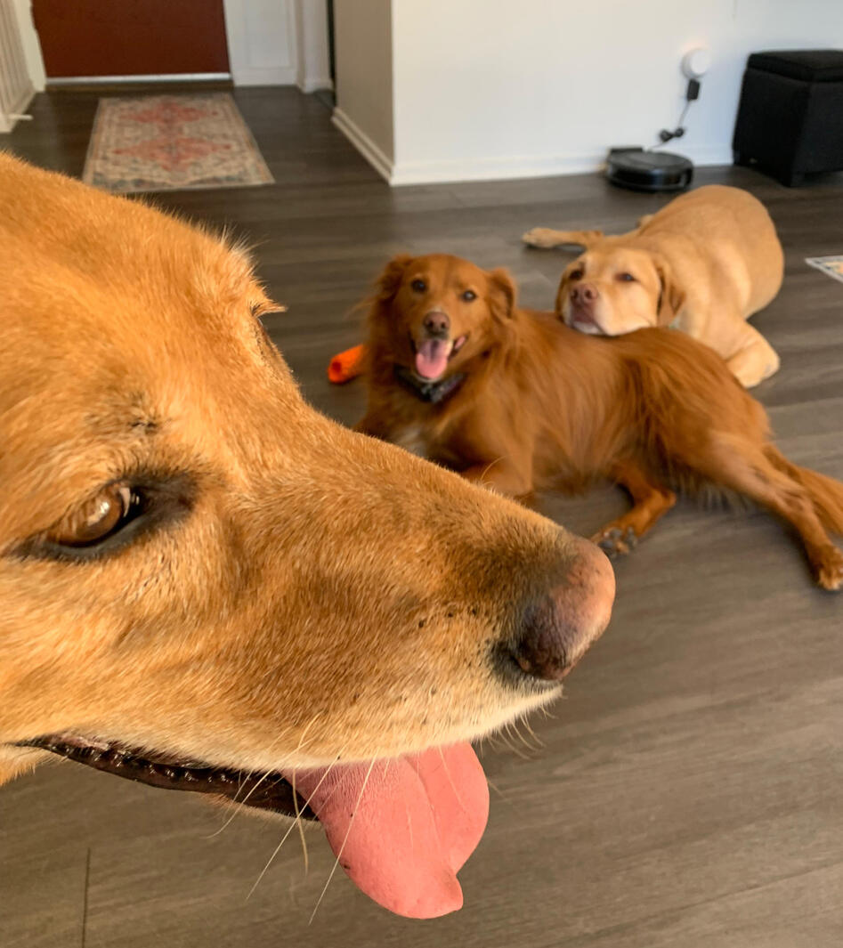 Ranger, Georgia, &amp; Chase